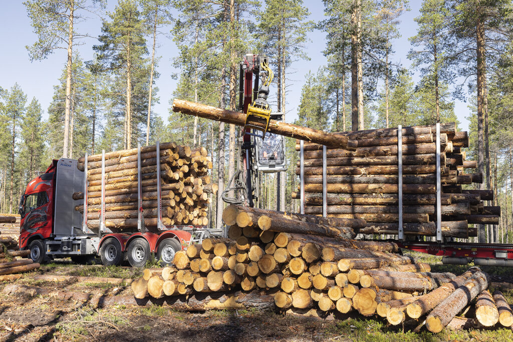 Logs being loaded into a timber truck with a crane in a forest.