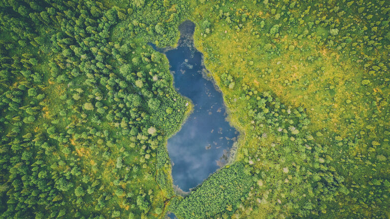 The Finland-shaped artificial pond Neitokainen photographed from the air. Trees surround the pond.