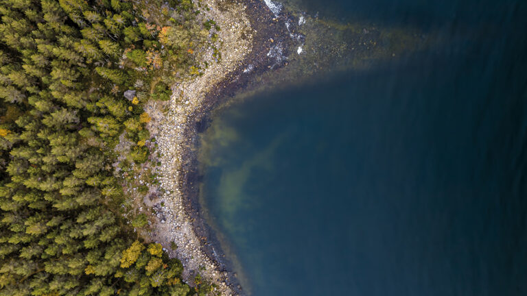 An aerial view of a shoreline. There is a forest on the land.