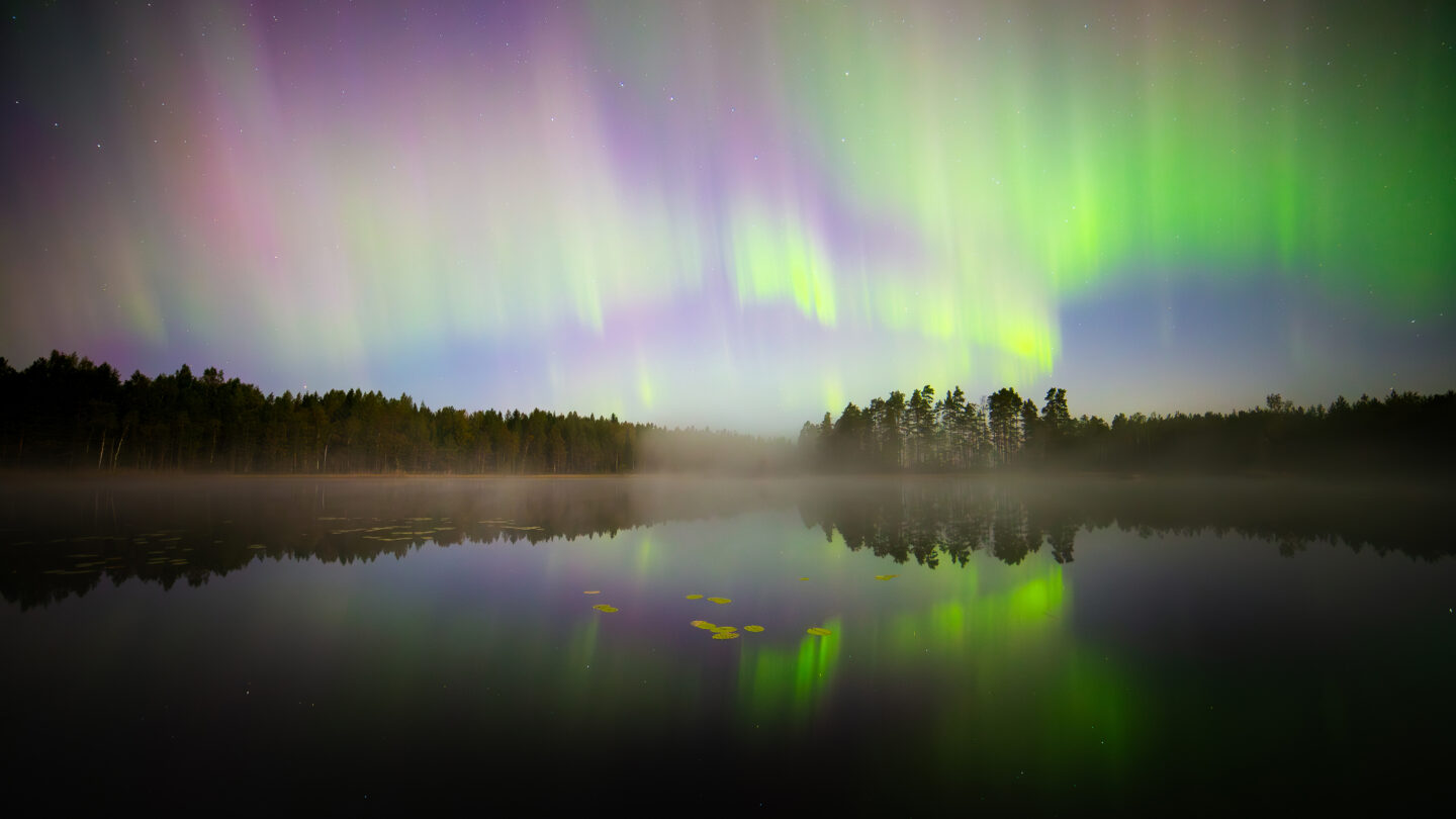 The Northern lights pictured above a misty lake at night on a starry sky. Trees surround the lake.
