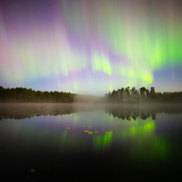 The Northern lights pictured above a misty lake at night on a starry sky. Trees surround the lake.
