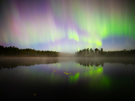 The Northern lights pictured above a misty lake at night on a starry sky. Trees surround the lake.